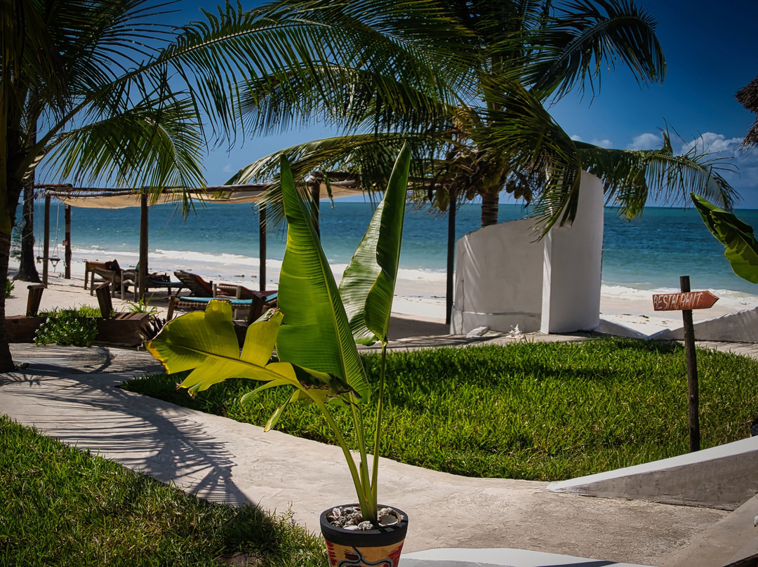 AVO Boutique Hotel主图