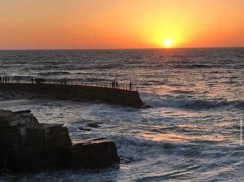La Jolla Legendary Tours-拉荷亚必去景点