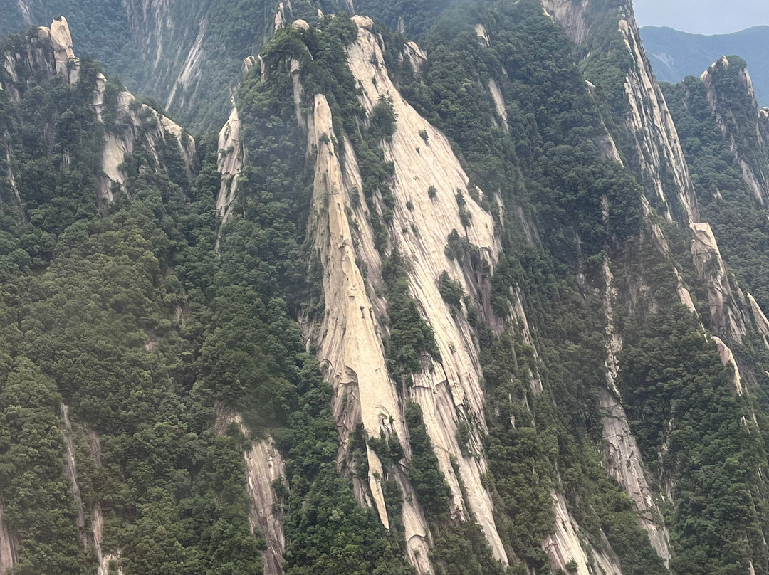 Xian Tour Expert - Day Tour-西安市必去景点