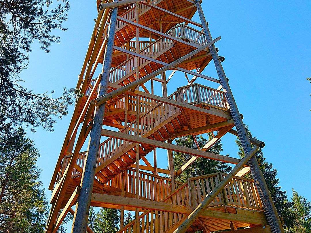 Vanuvuori Nature Trail And Observation Tower-库奥皮奥必去景点