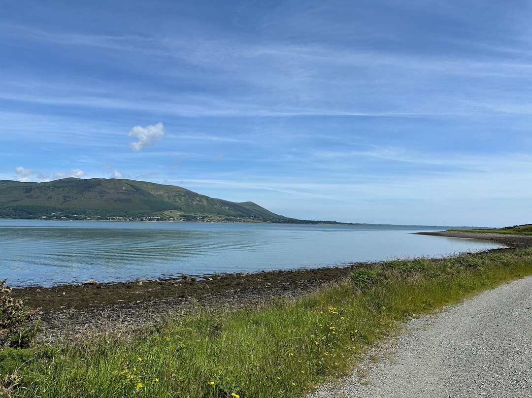 Carlingford Greenway Bike Hire-Carlingford必去景点