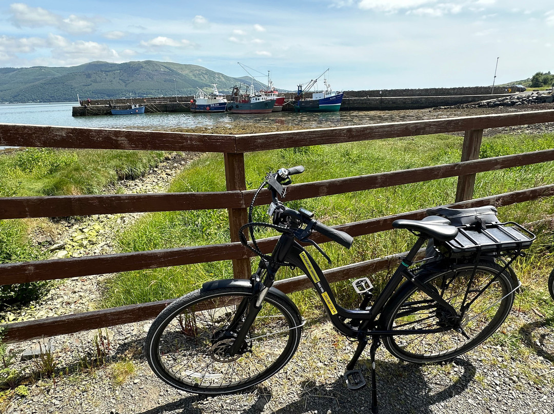 Carlingford Greenway Bike Hire-Carlingford必去景点
