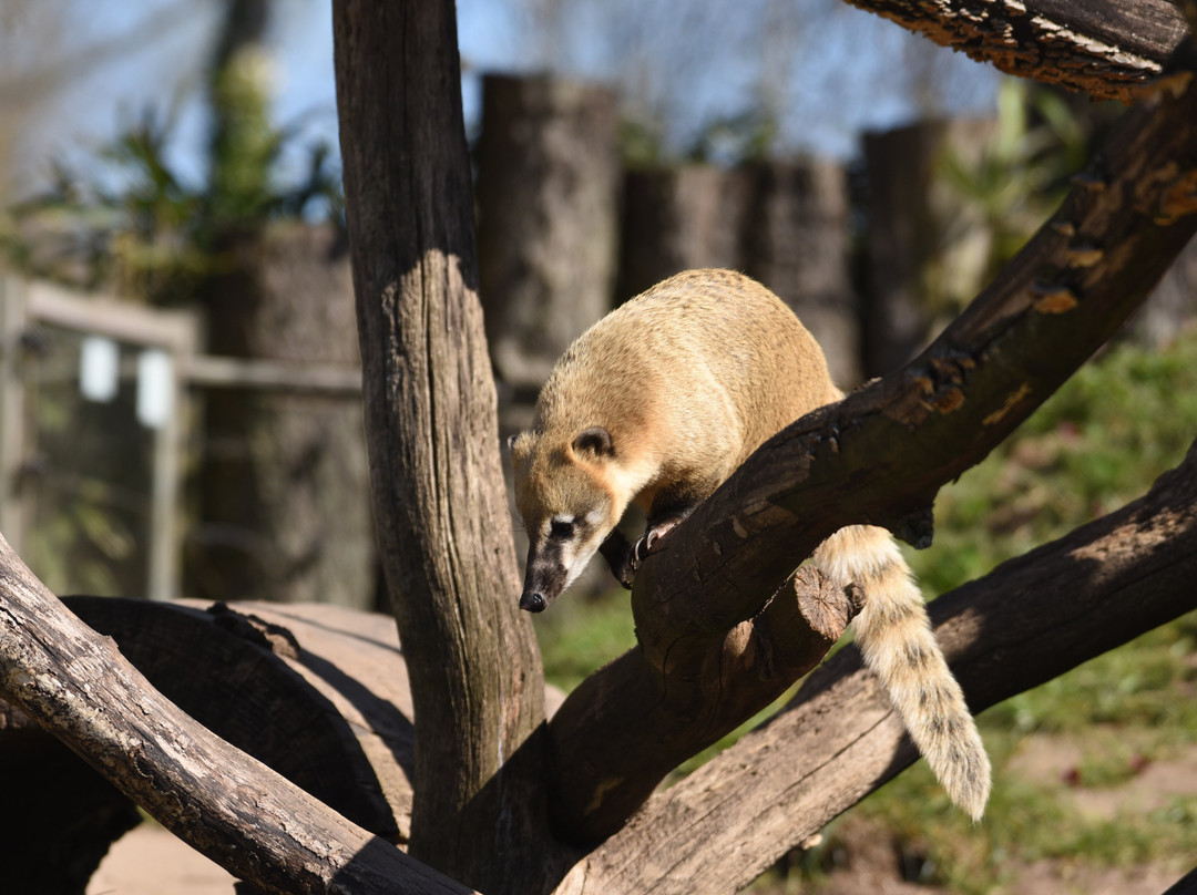 Tierpark Gettorf景点图片