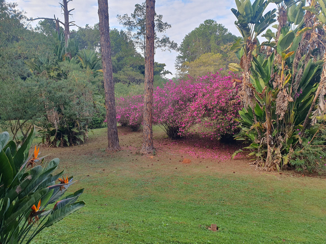 Garden Hill Hotel主图