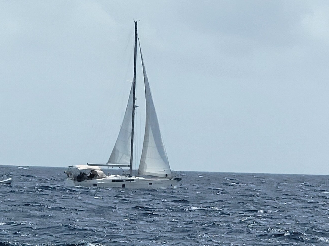 Kindred Spirit Charters-克鲁兹湾必去景点