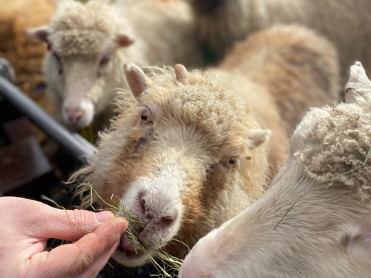 Lamb.fo-Selatrad必去景点