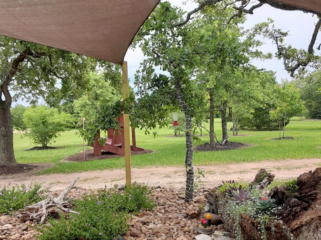 Busted Oak Cellars-Carmine必去景点