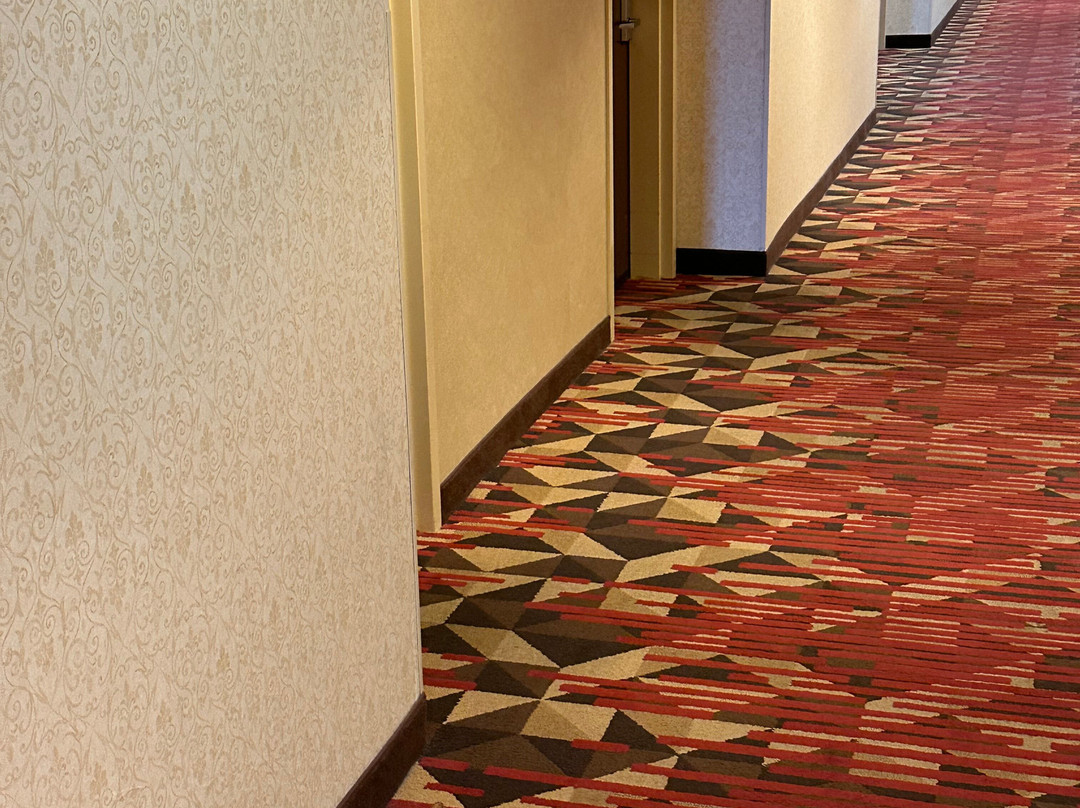 Hilton Garden Inn Las Cruces主图