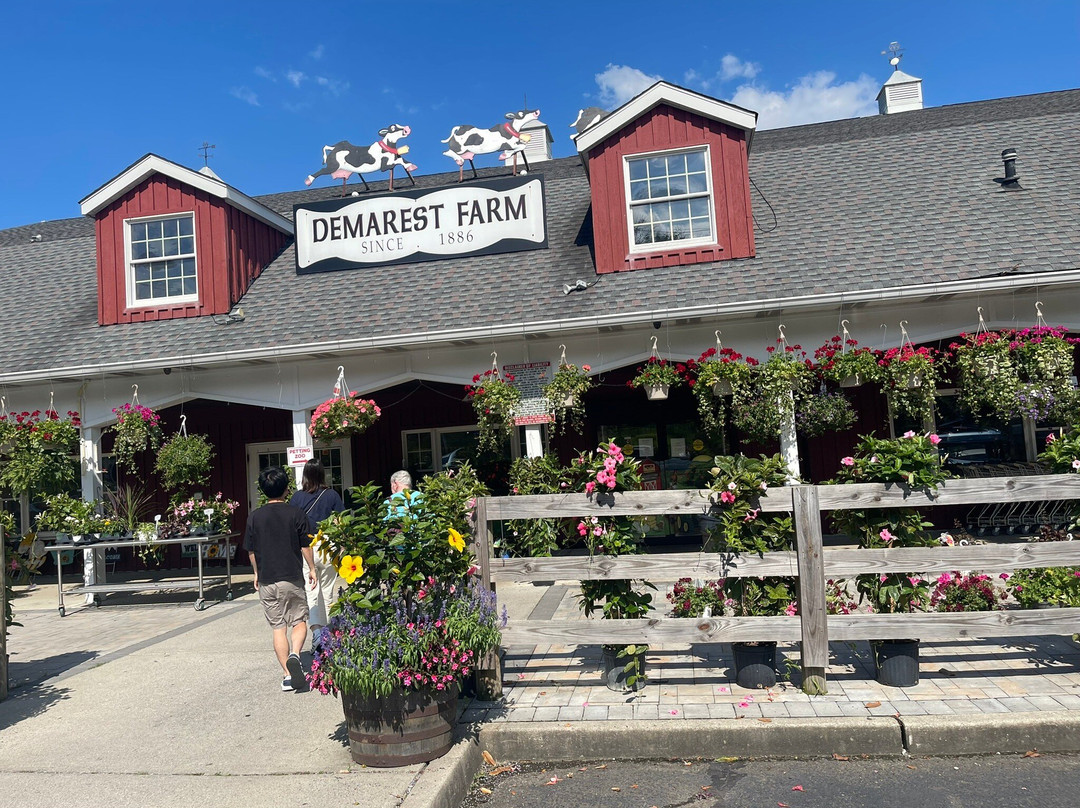 Demarest Farm景点图片