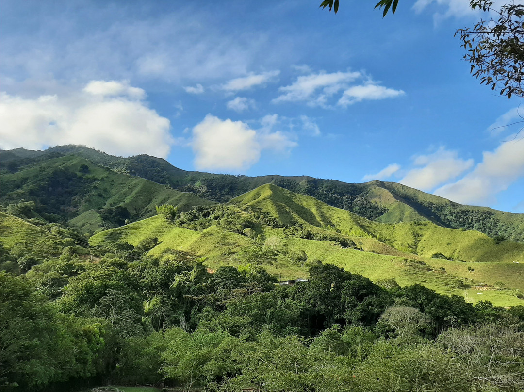 Parque Ecoturistico El Gran Pijao