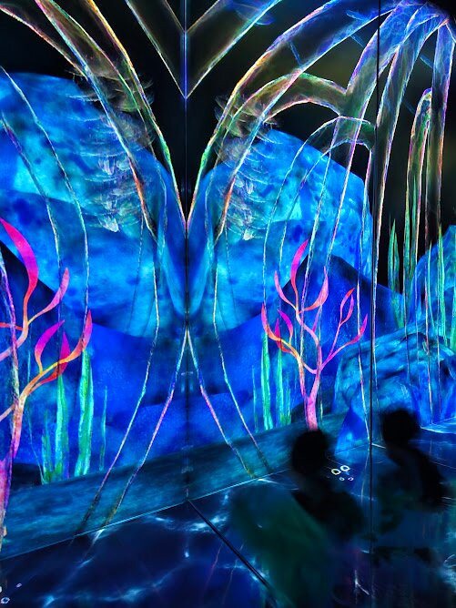 teamLab Forest景点图片
