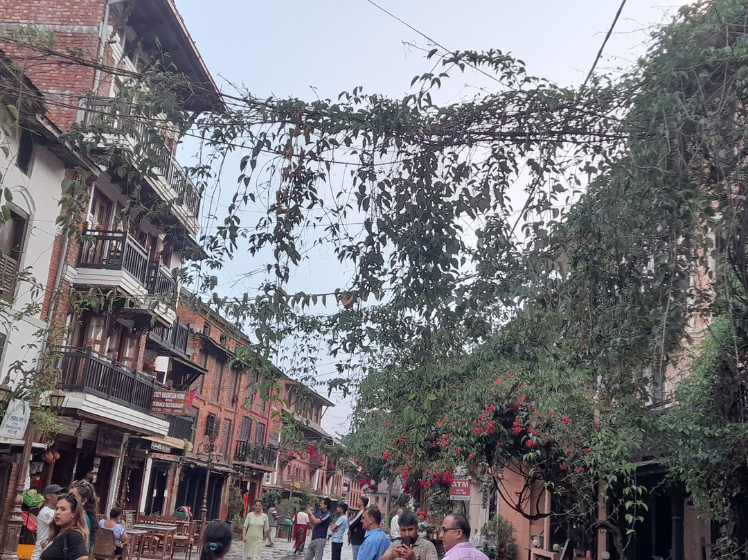 Hotel Bandipur Organic Home主图