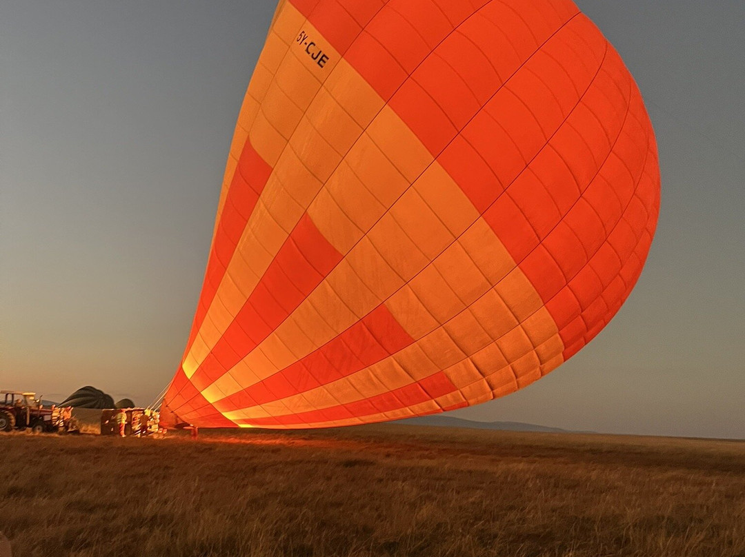 Balloon Safaris Ltd.景点图片