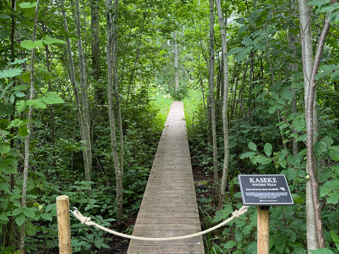 Maidla Nature Resort主图