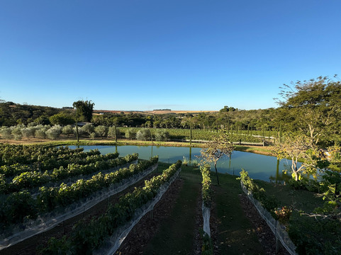 Restaurante Sovizzo主图