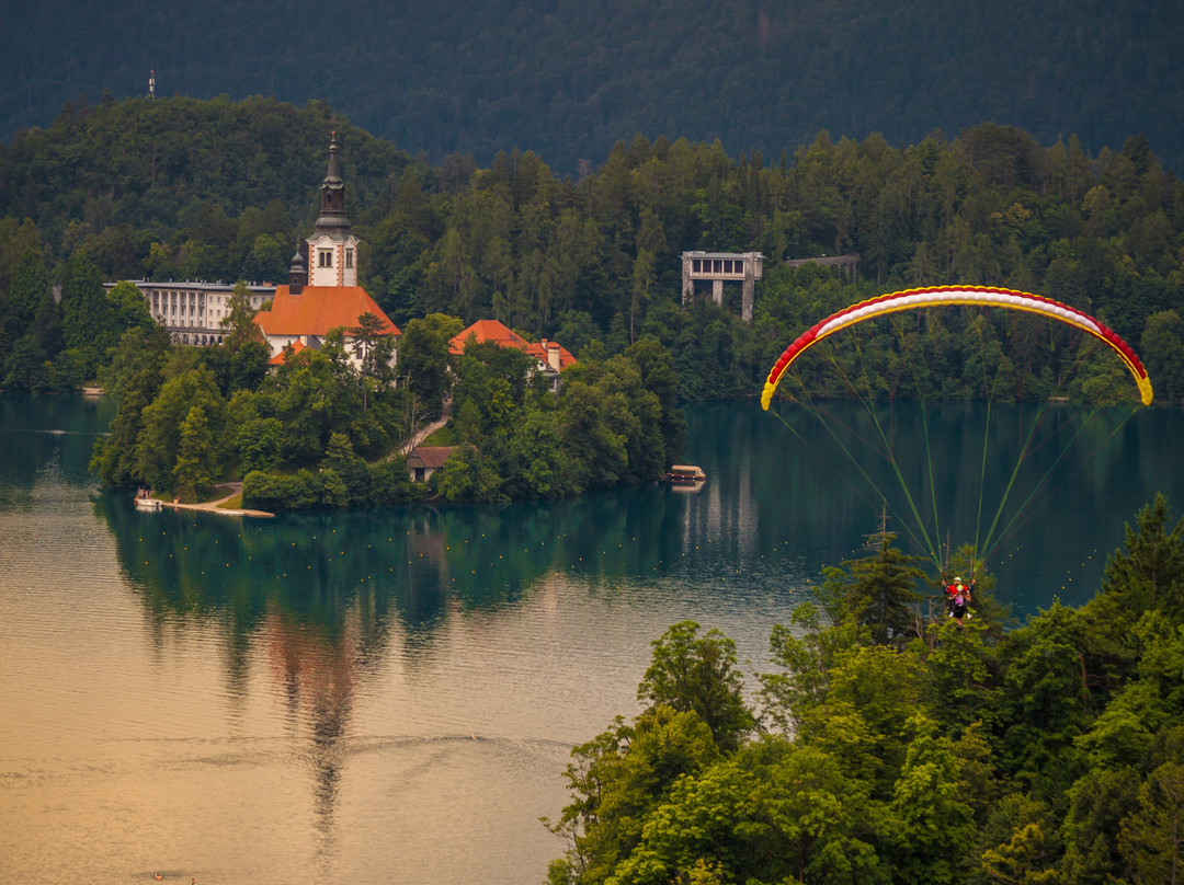 Hotel Triglav Bled主图