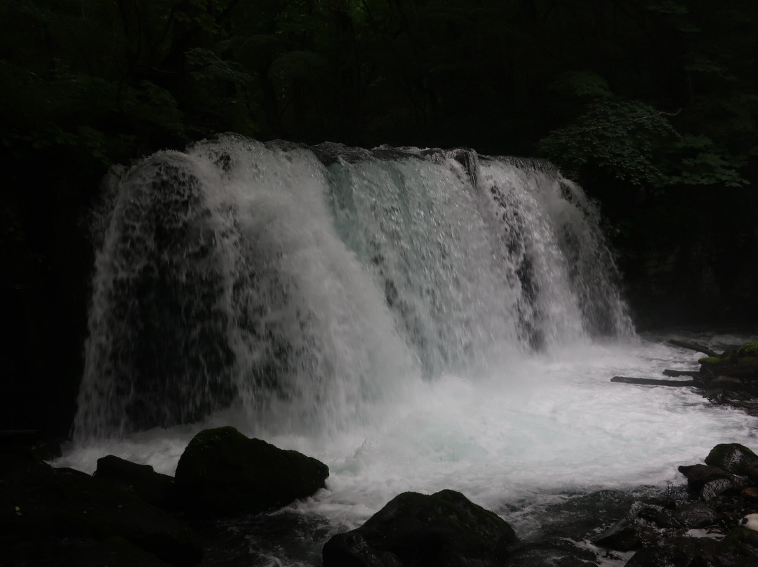 Choshi Otaki Waterfall景点图片