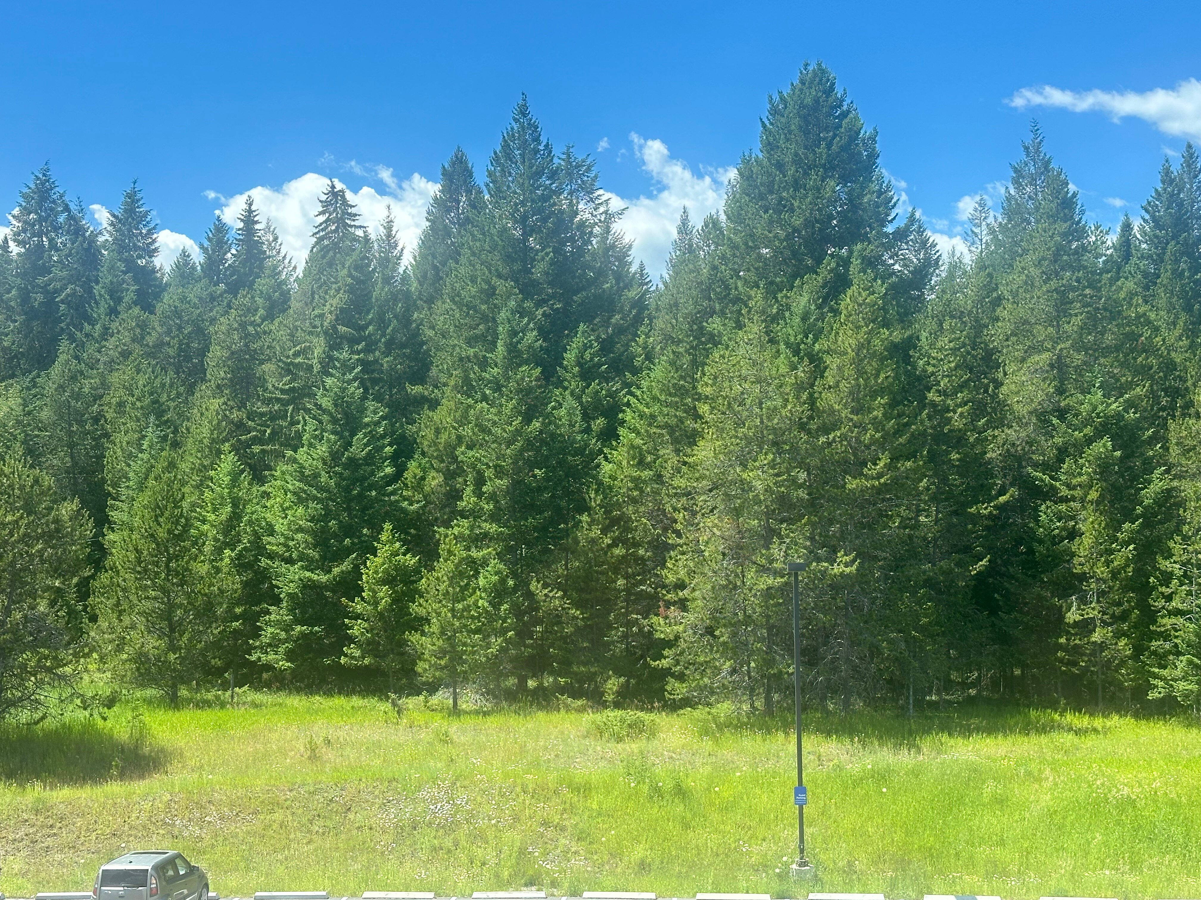 Hampton Inn & Suites Whitefish-酒店景观