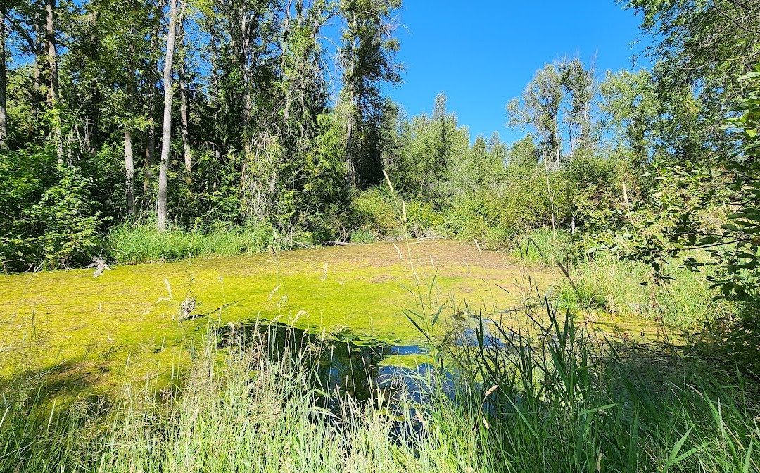 Scenic Canyon Regional Park景点图片