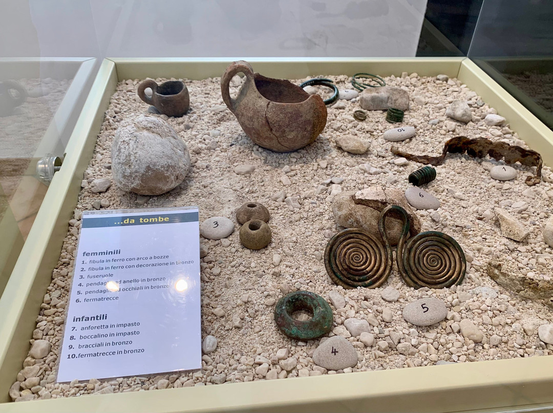 Antiquarium Dells Civilta Safina景点图片