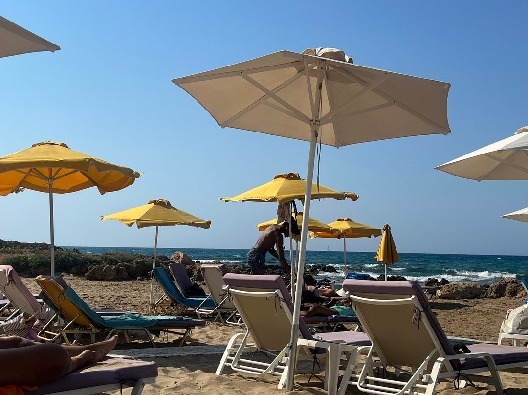 Passion Bar-史塔利思必去景点