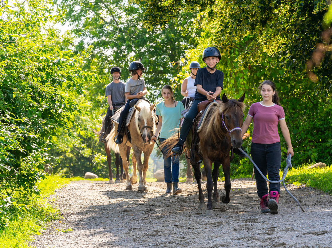 Le Baluchon Eco-Villegiature主图