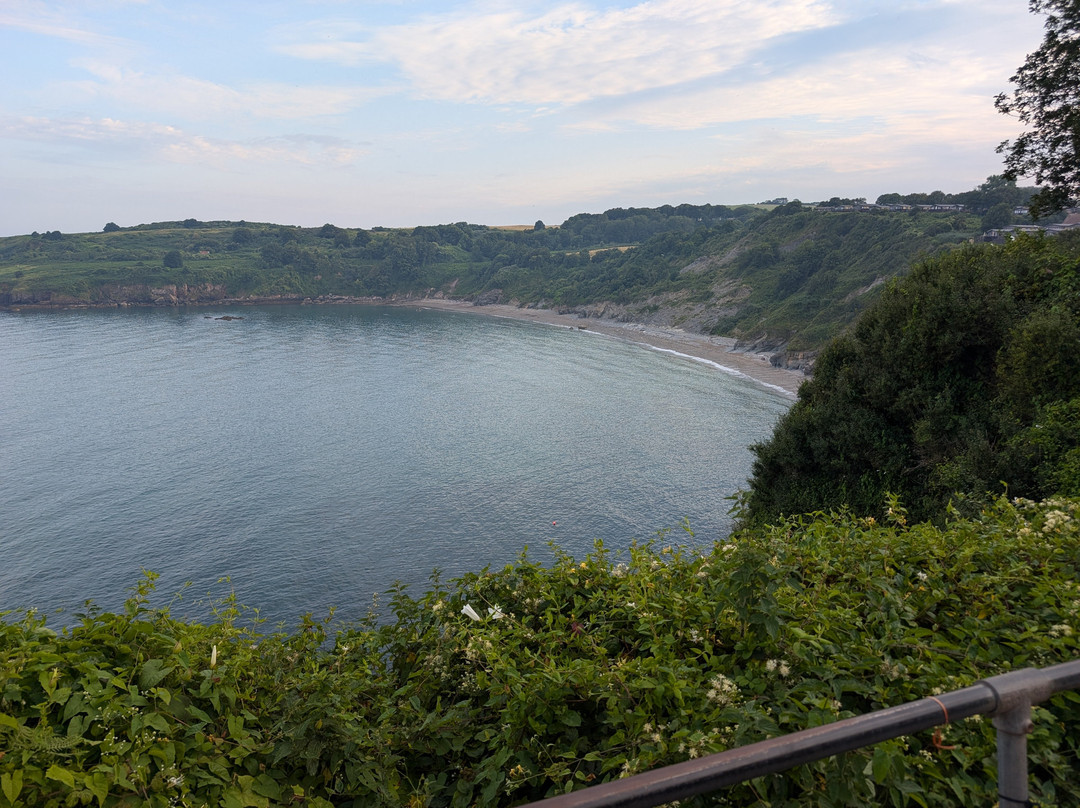 St Marys Bay Beach景点图片