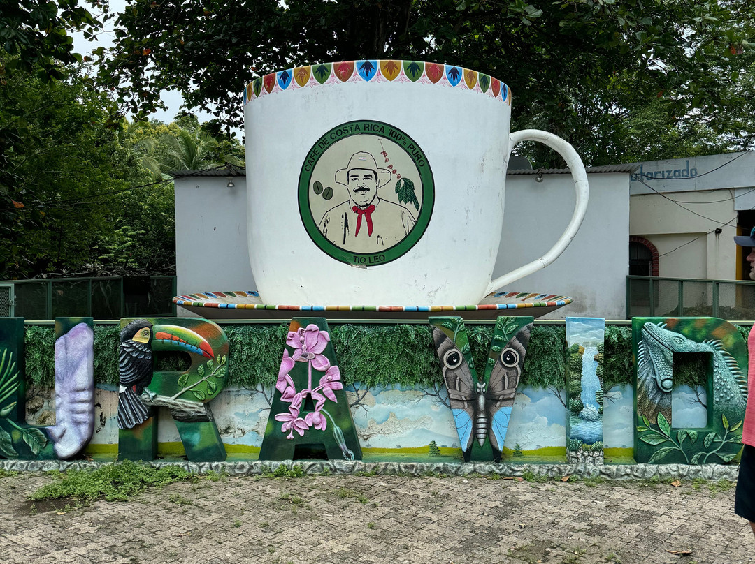 Café Tío Leo景点图片