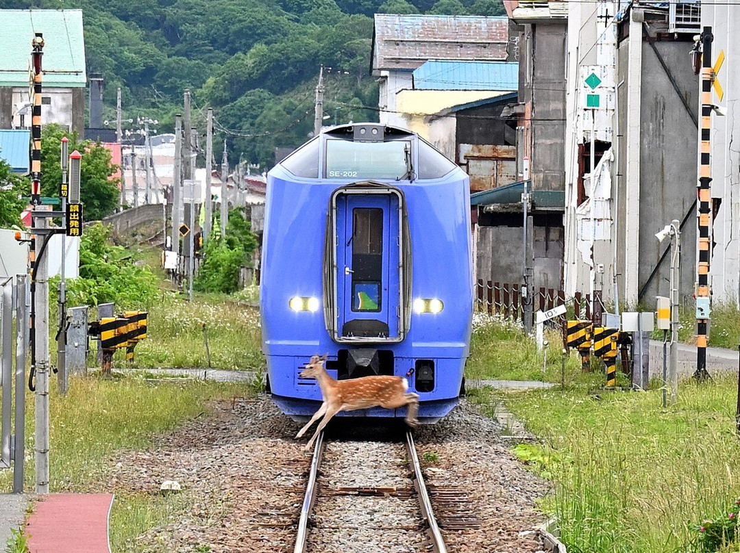 JR Soya Main Line Wakkanai-稚内市必去景点