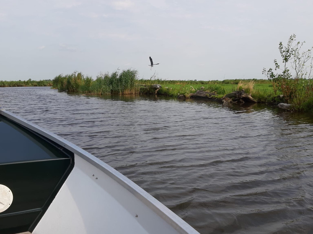 Broeker Bootverhuur Fluisterboot景点图片