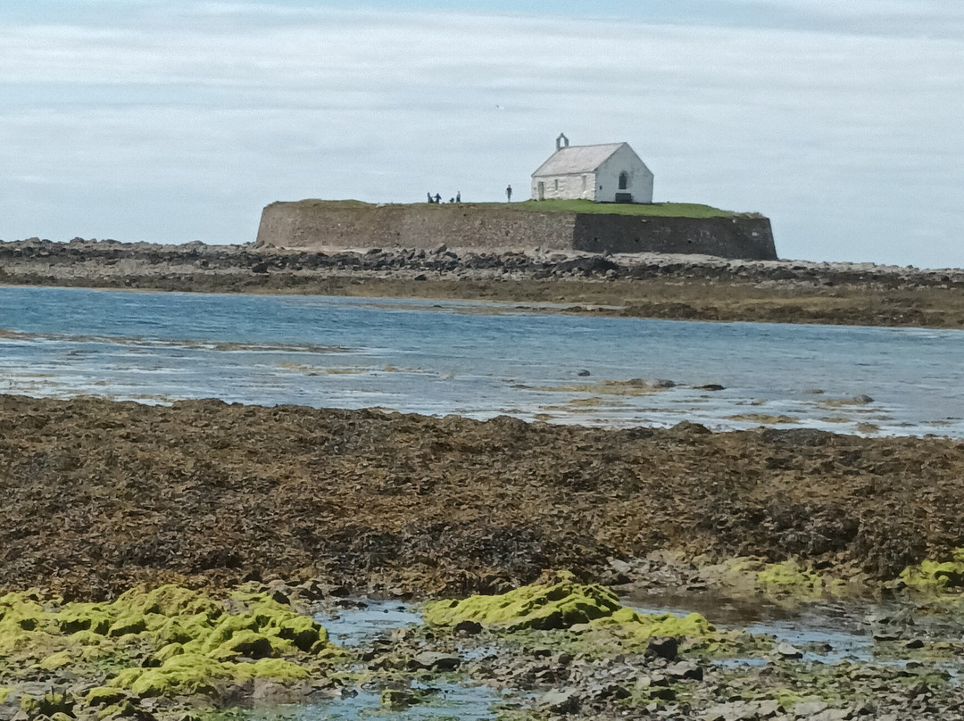 St Cwyfan's Church景点图片