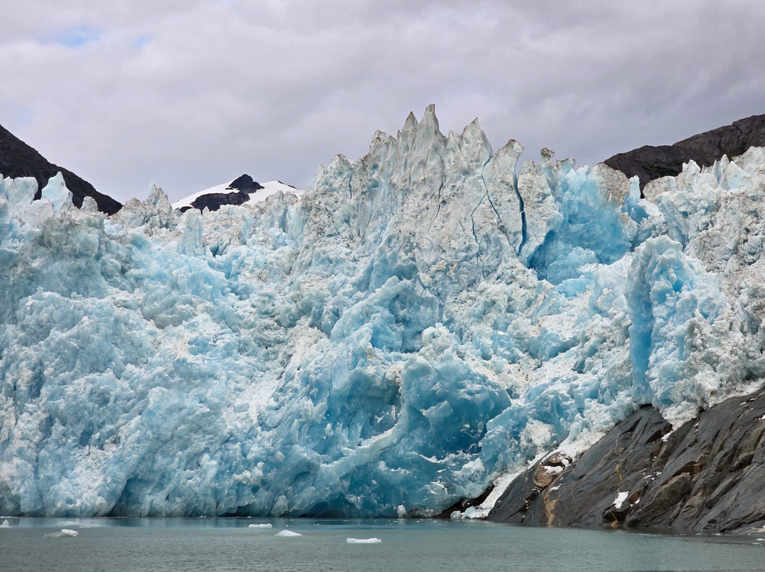 Seek Alaska Tours景点图片