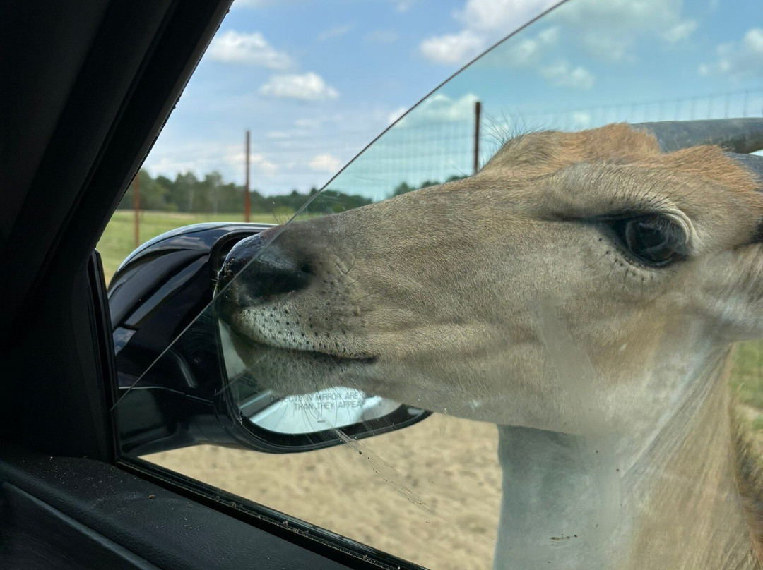 Shamba Safari-Neshkoro必去景点
