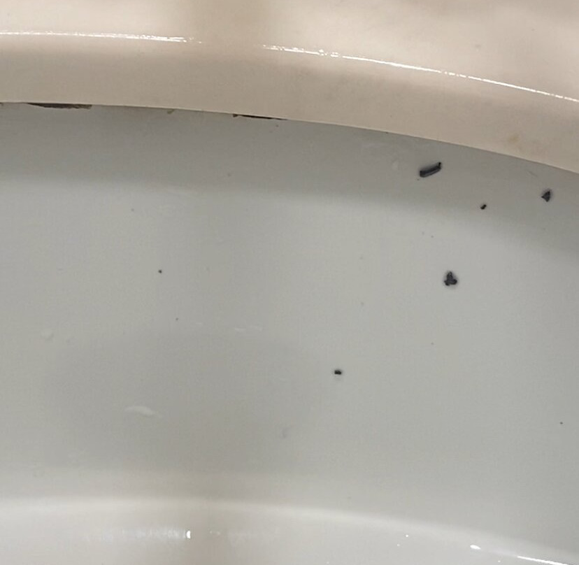 Inn at Mount Shasta主图