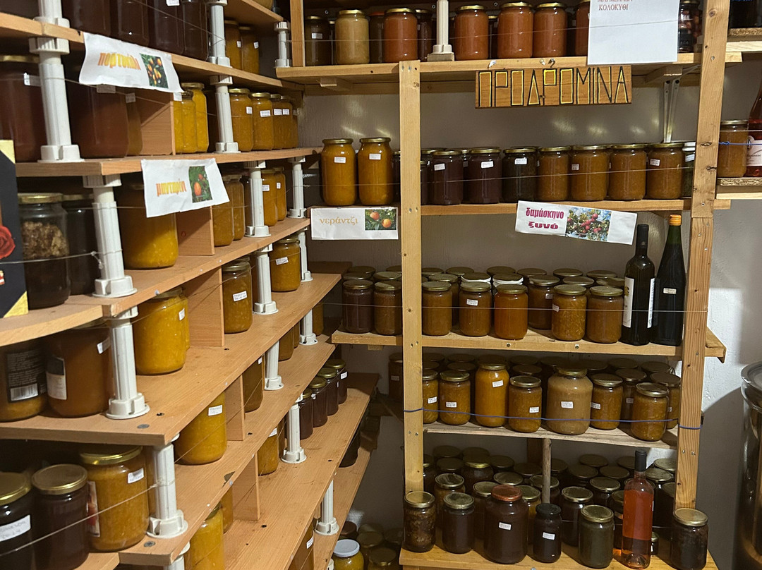 Pansion Prodromina主图