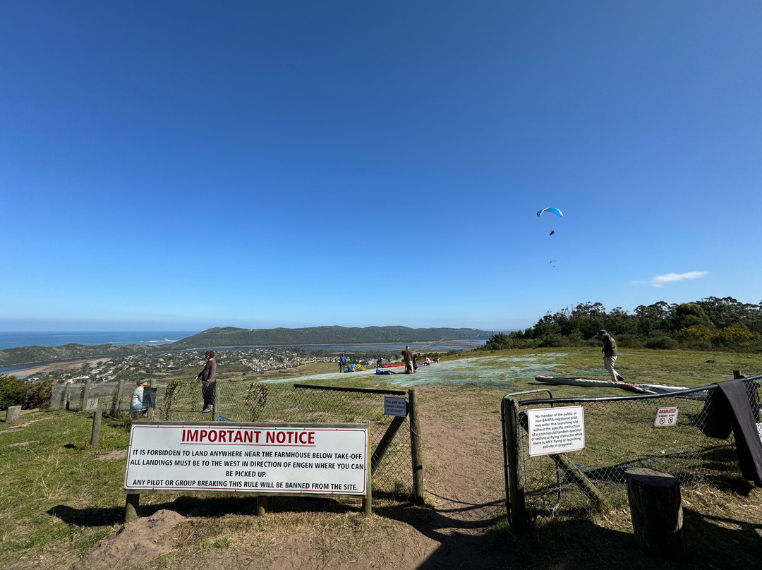 Dolphin Paragliding-Sedgefield必去景点