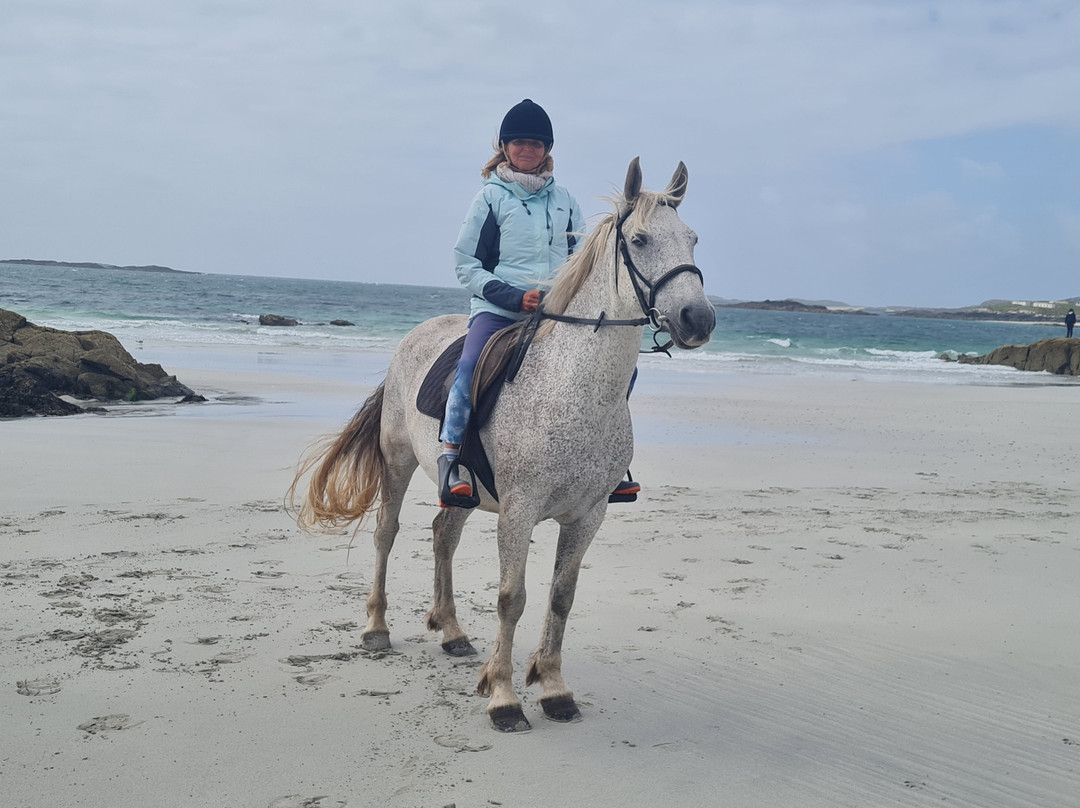The Point Equestrian Centre and Pony Trekking景点图片