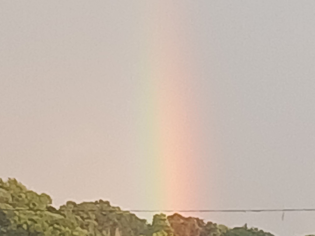 Baymont by Wyndham Springfield I-44主图