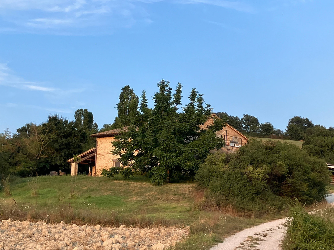 Valle Nuova主图