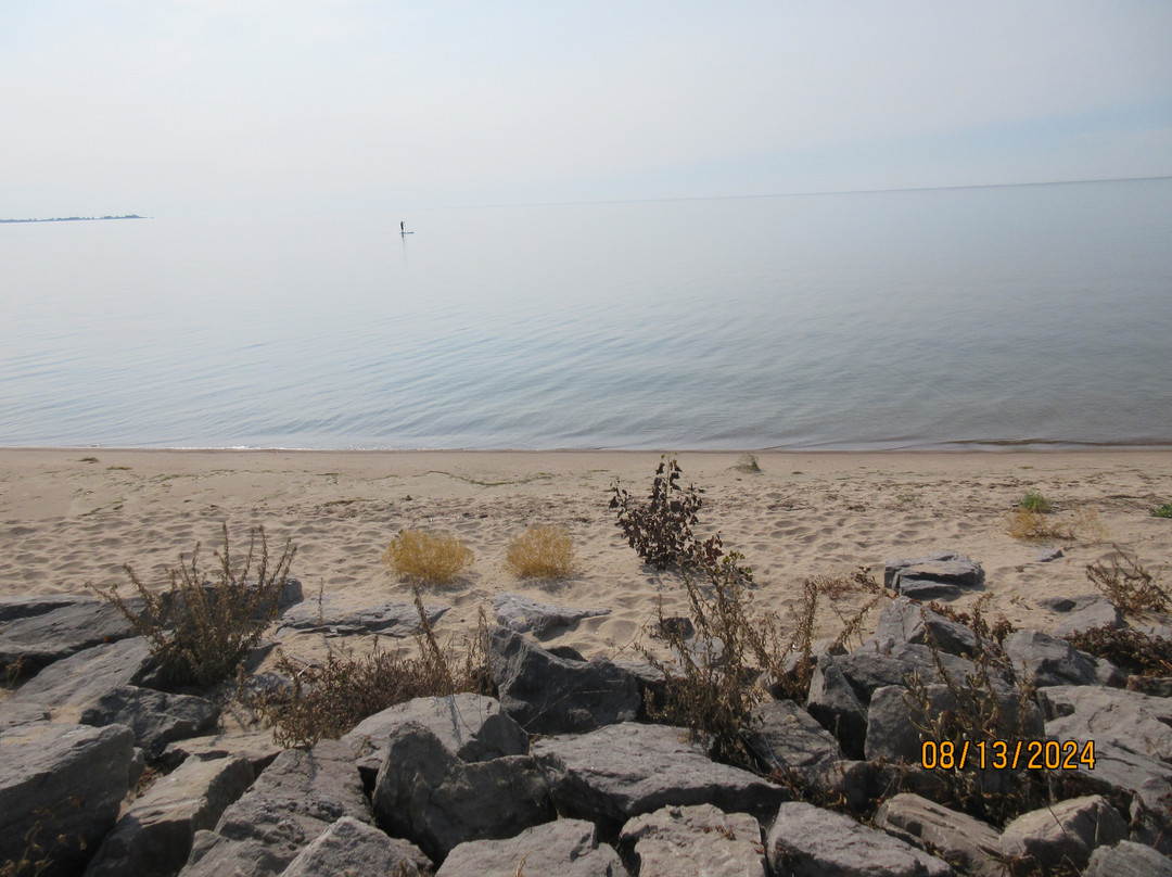 Surfside Motel Marina Resort主图