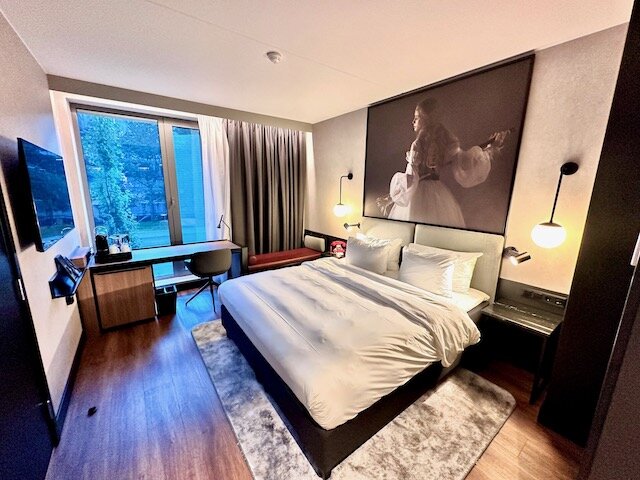 Radisson RED Oslo Airport-客卧