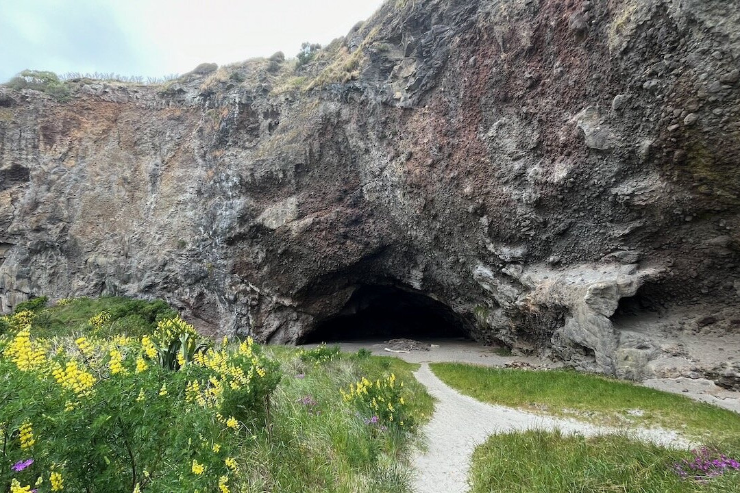 Long Beach-但尼丁必去景点