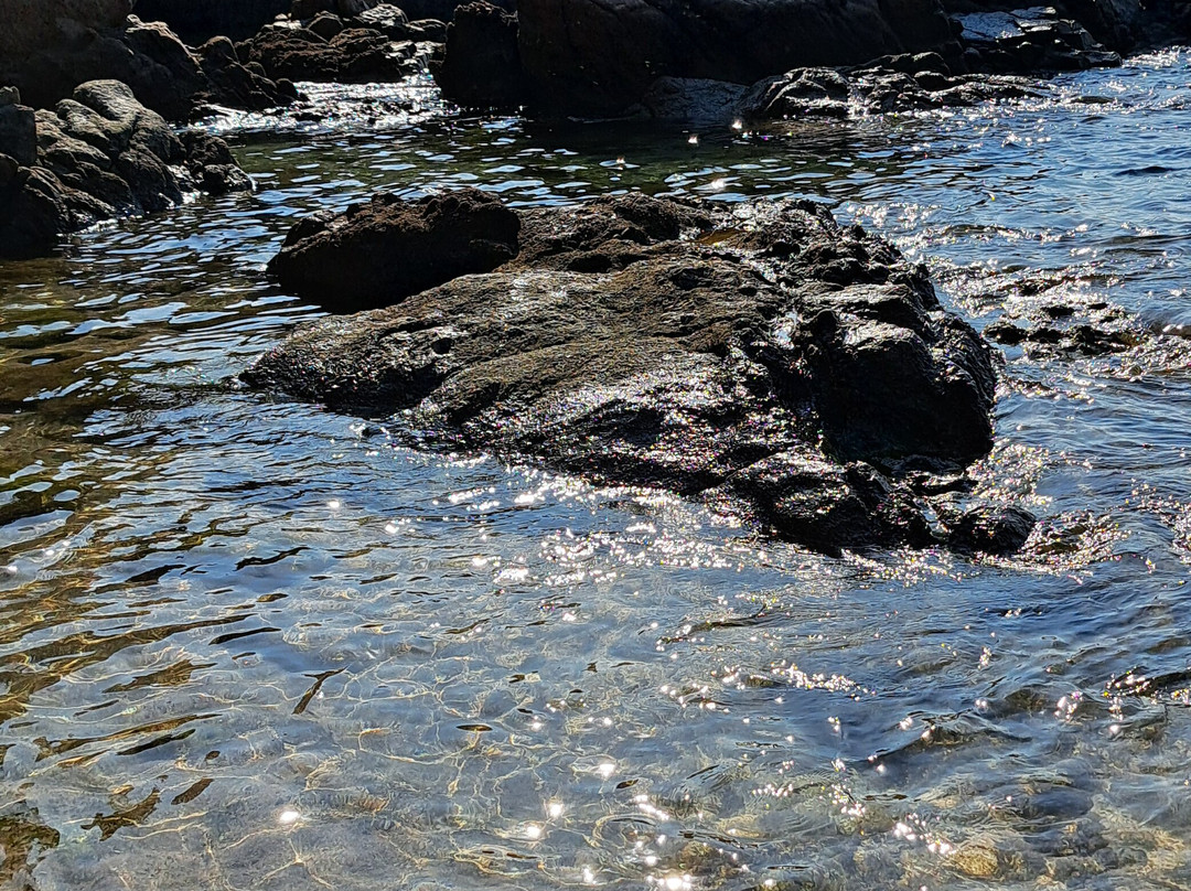 Cala de Sant Francesc景点图片