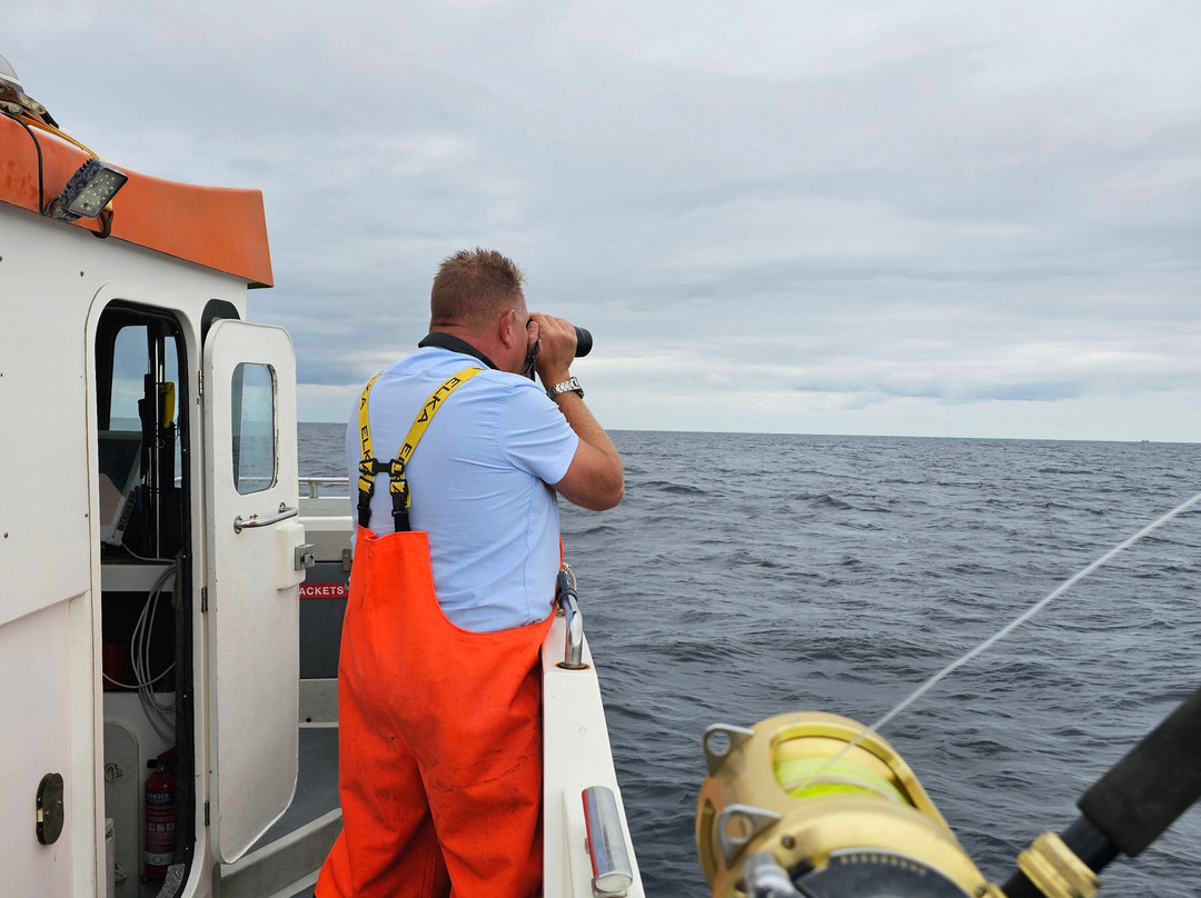 Cornish Fishing-法尔茅斯必去景点