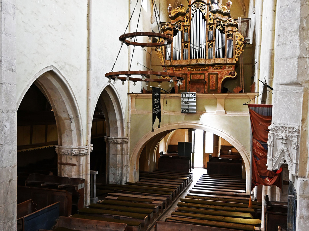 Biserica Fortificata din Richis-Richis必去景点