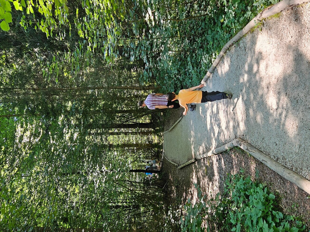 Zelenci Nature Reserve景点图片