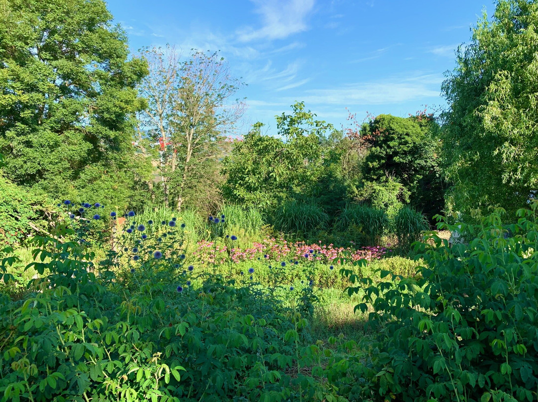 Les Jardins De La Source Dorée景点图片