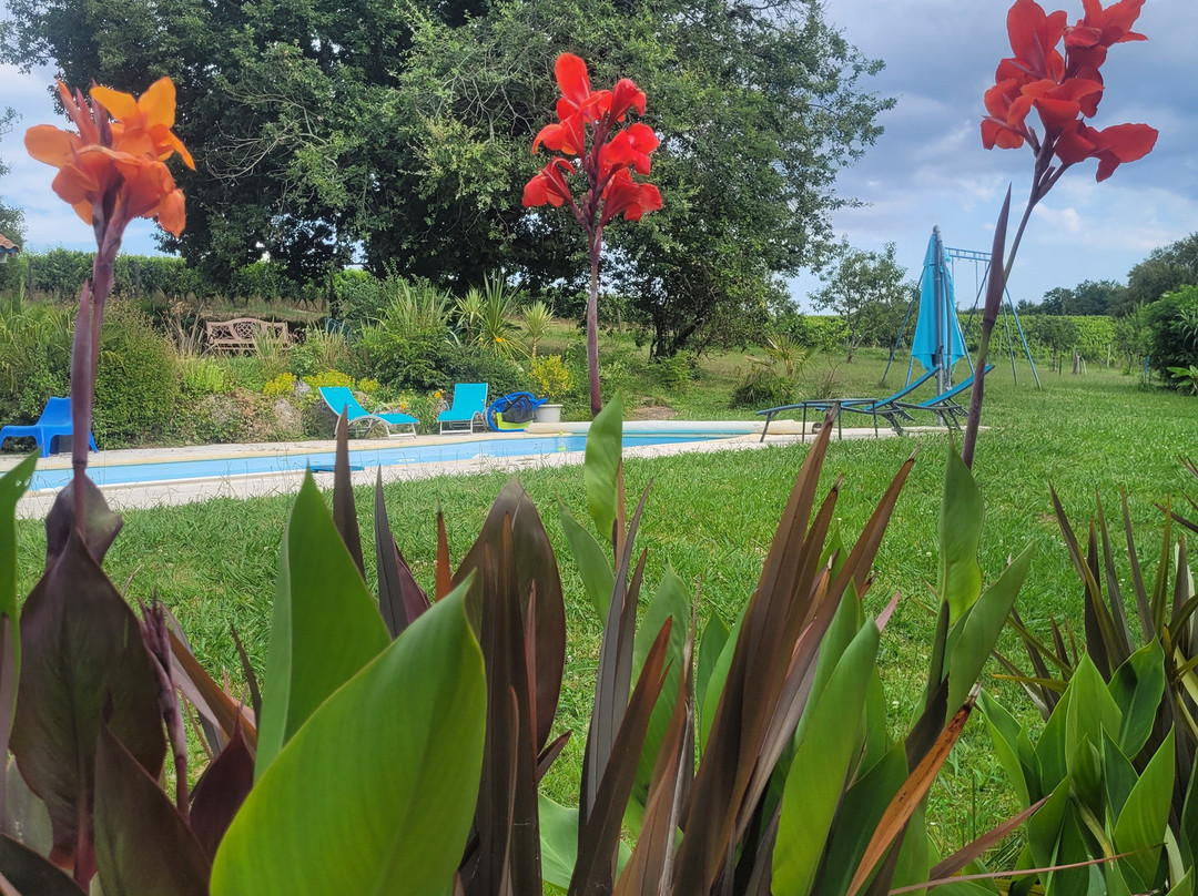 Au Petit Bernerot - Les Gîtes de l'Arbre du Voyageur主图