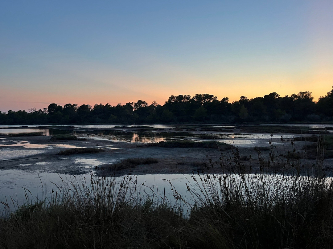 Laguna e Karavastasë-Divjake必去景点