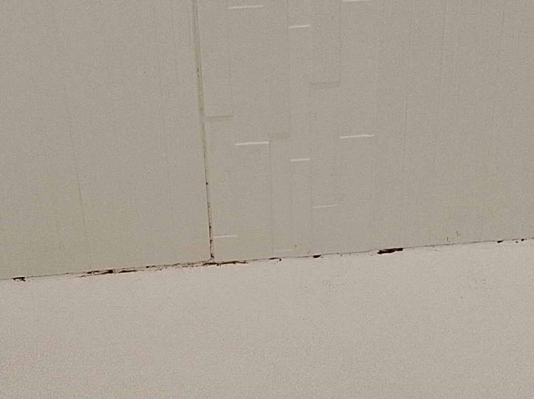 Garner Hotel Aiken South By IHG主图